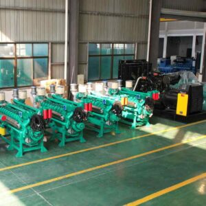 advanced diesel generator supplier